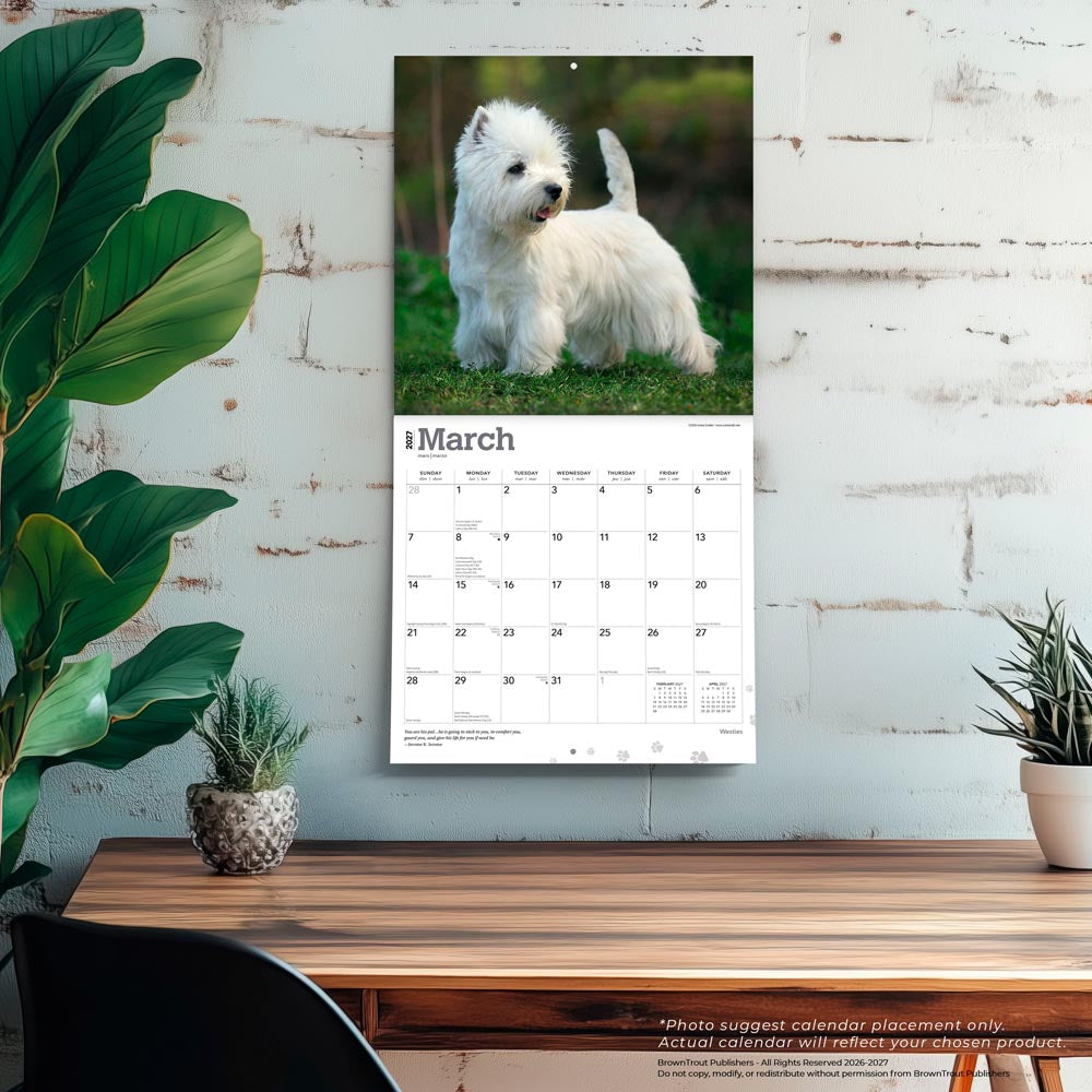 West Highland White Terriers | 2027 12 x 24 Inch (Hanging) Monthly Square Wall Calendar
