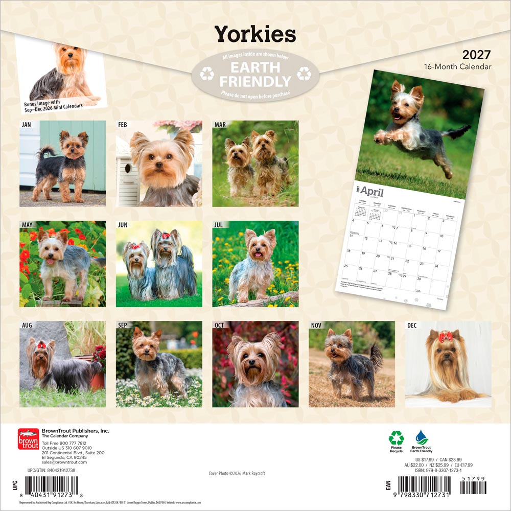Yorkshire Terriers | 2027 12 x 24 Inch (Hanging) Monthly Square Wall Calendar