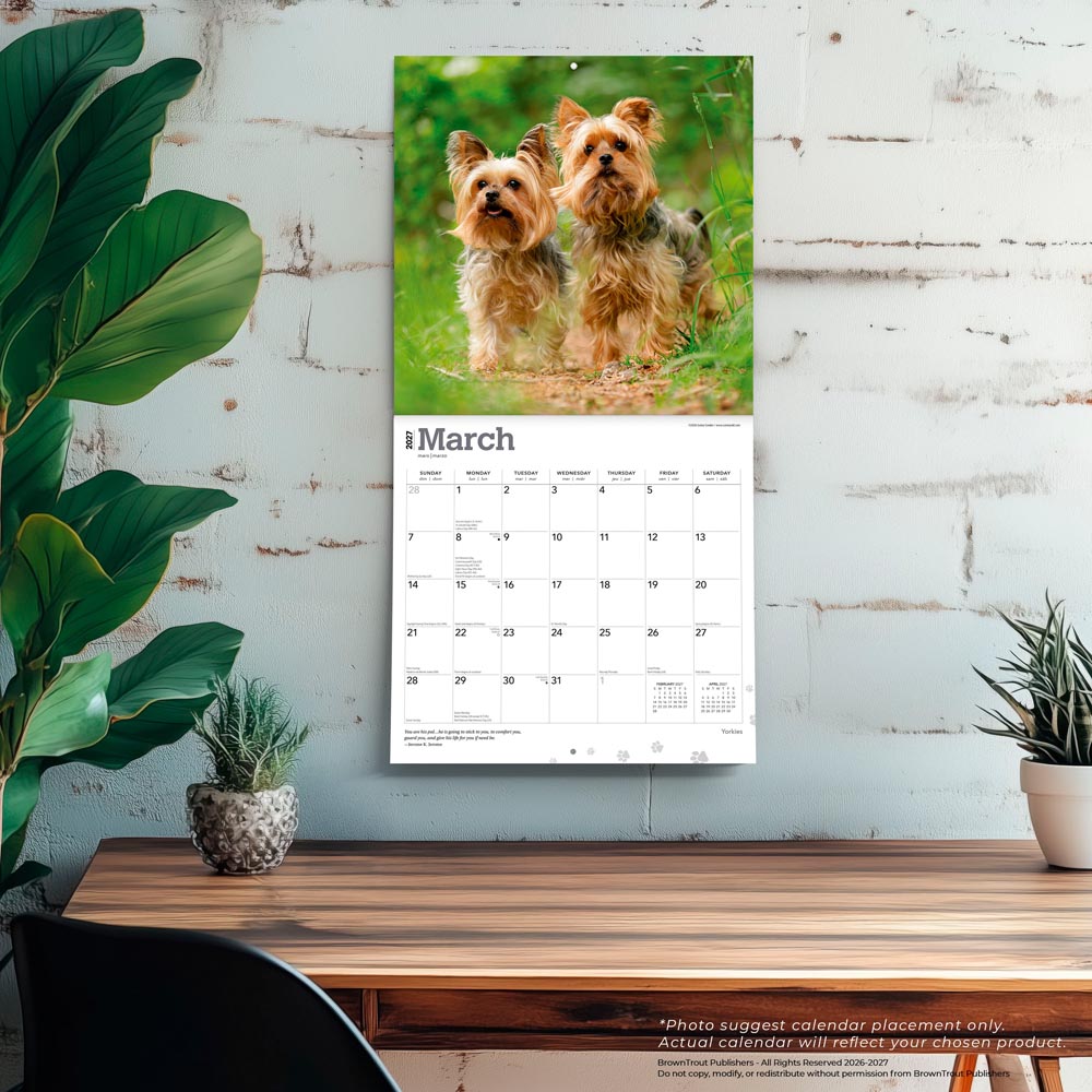 Yorkshire Terriers | 2027 12 x 24 Inch (Hanging) Monthly Square Wall Calendar