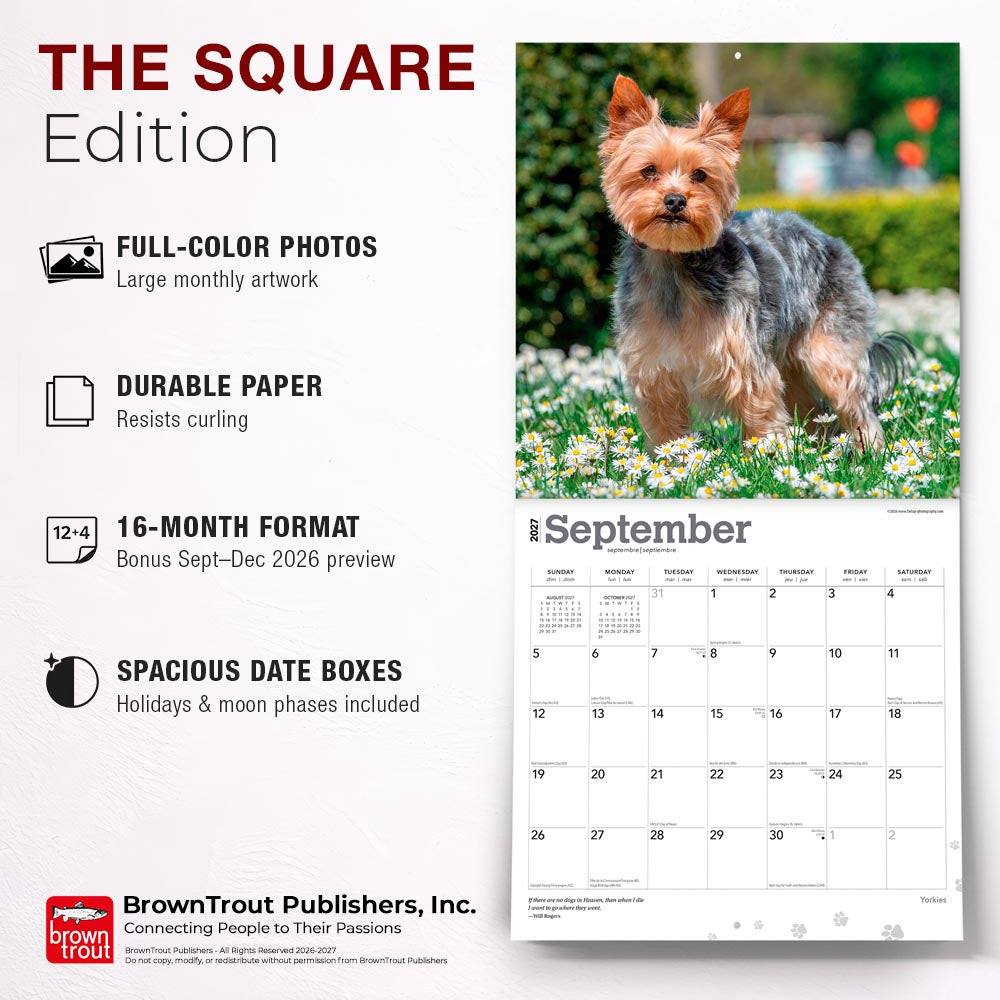 Yorkshire Terriers | 2027 12 x 24 Inch (Hanging) Monthly Square Wall Calendar