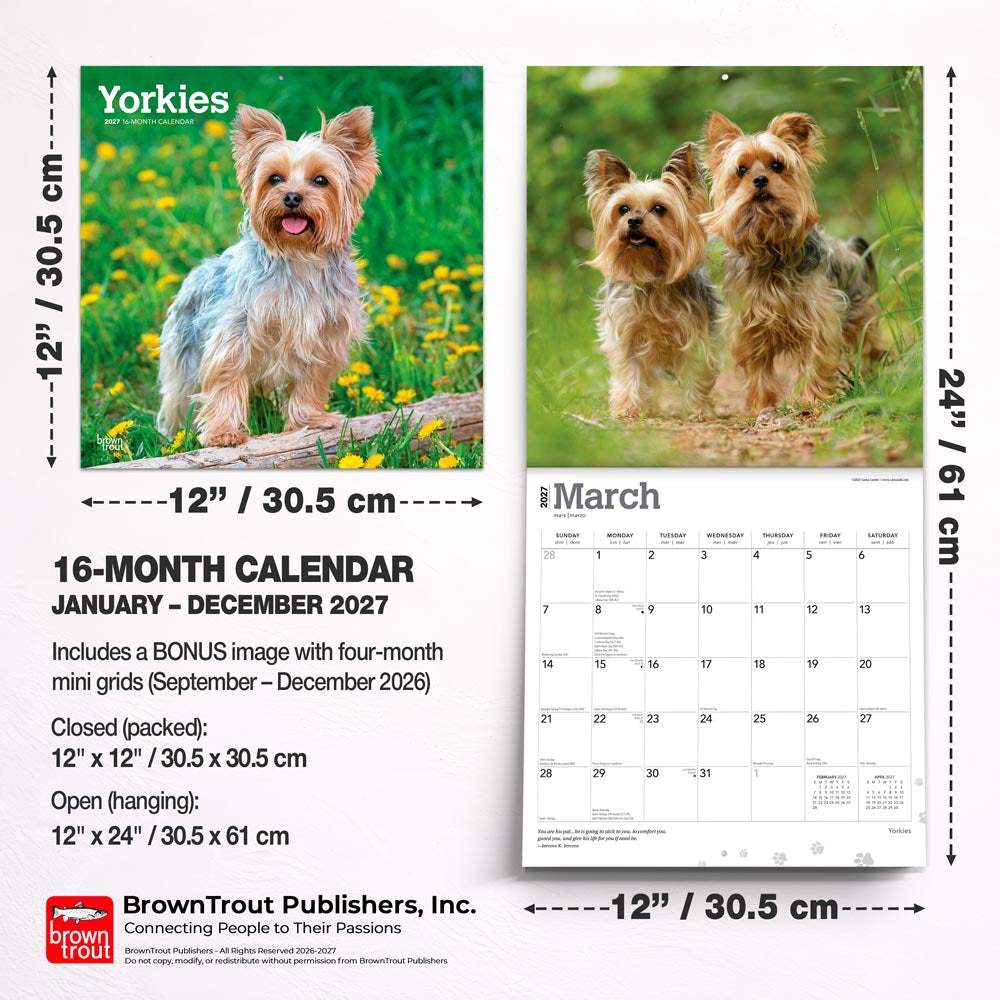 Yorkshire Terriers | 2027 12 x 24 Inch (Hanging) Monthly Square Wall Calendar