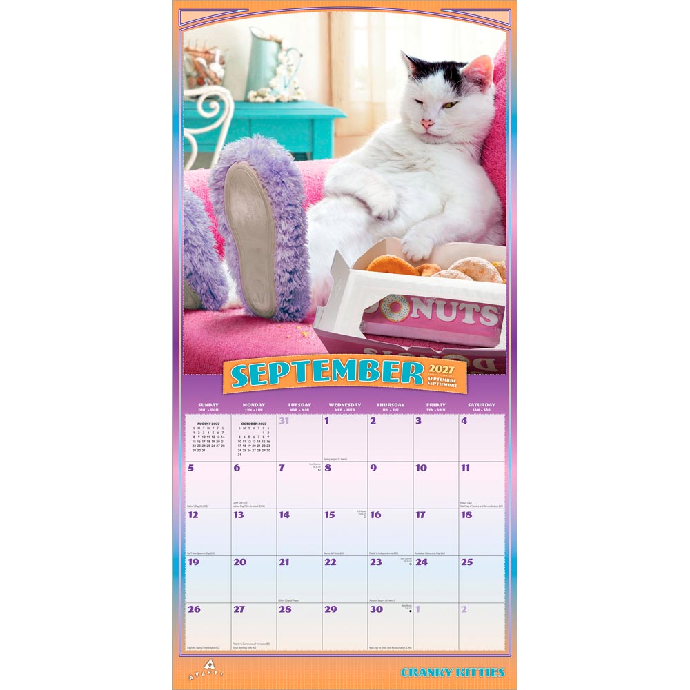 Avanti Cranky Kitties OFFICIAL | 2027 12 x 24 Inch (Hanging) Monthly Square Wall Calendar | Foil Stamped Cover