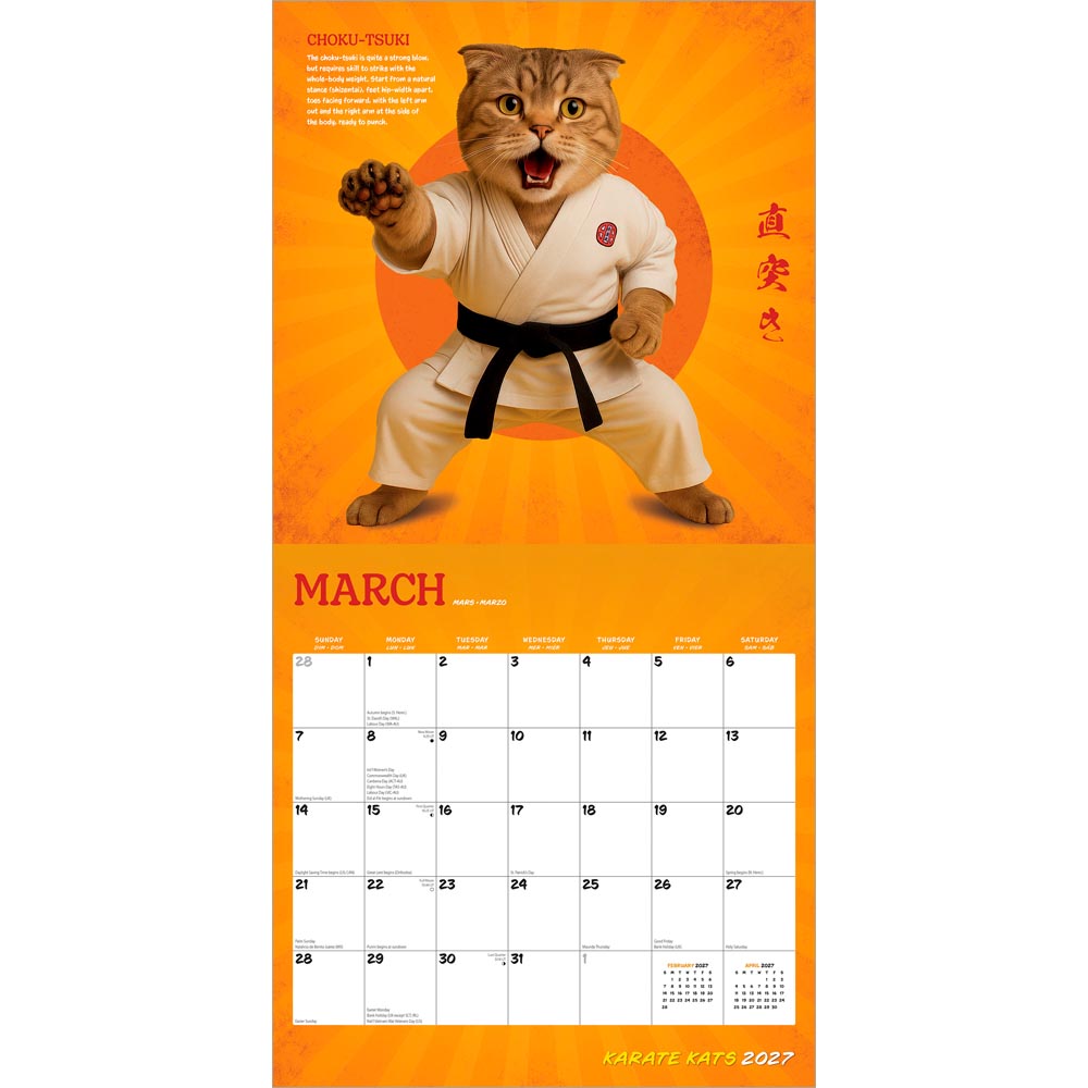 Karate Kats OFFICIAL | 2027 12 x 24 Inch (Hanging) Monthly Square Wall Calendar