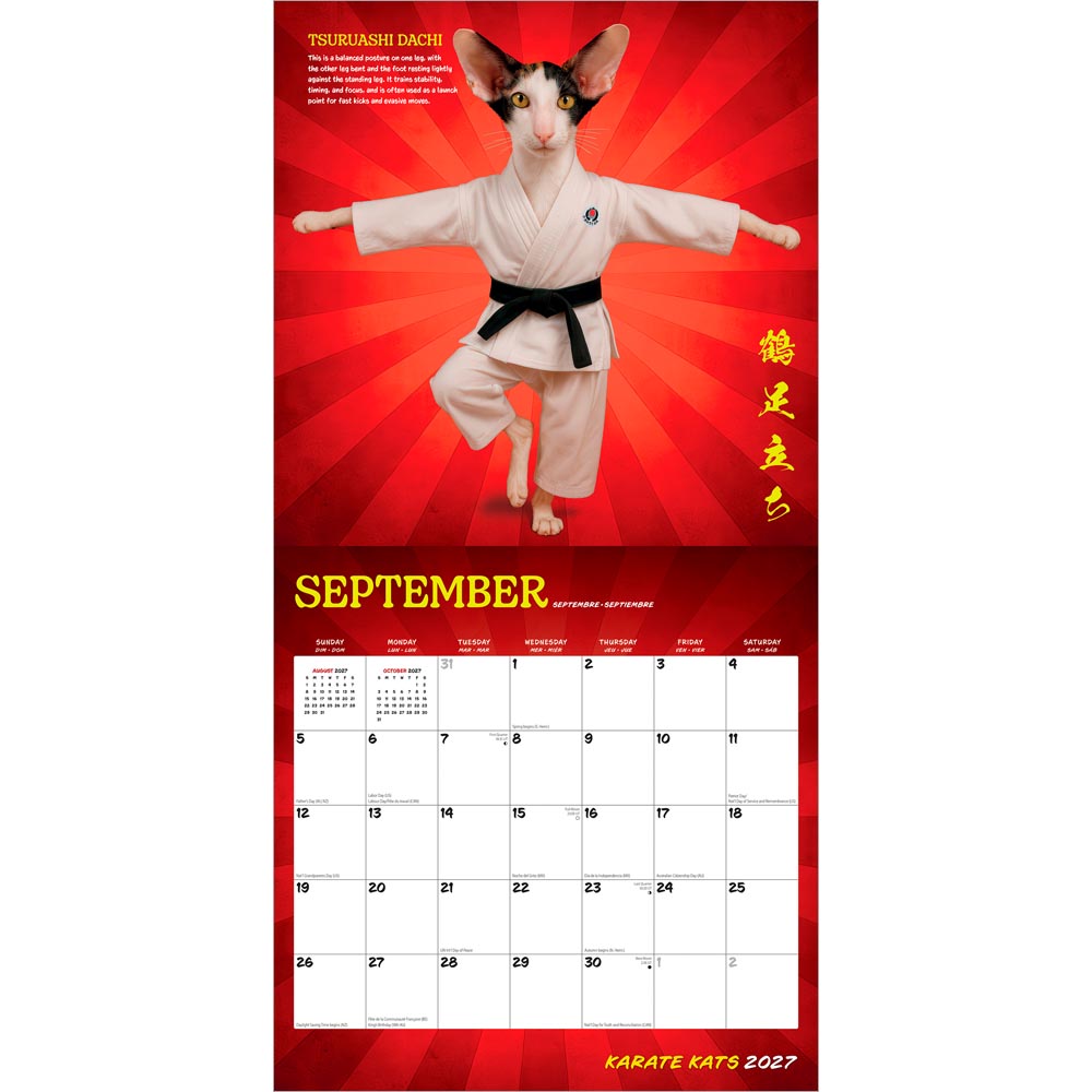 Karate Kats OFFICIAL | 2027 12 x 24 Inch (Hanging) Monthly Square Wall Calendar