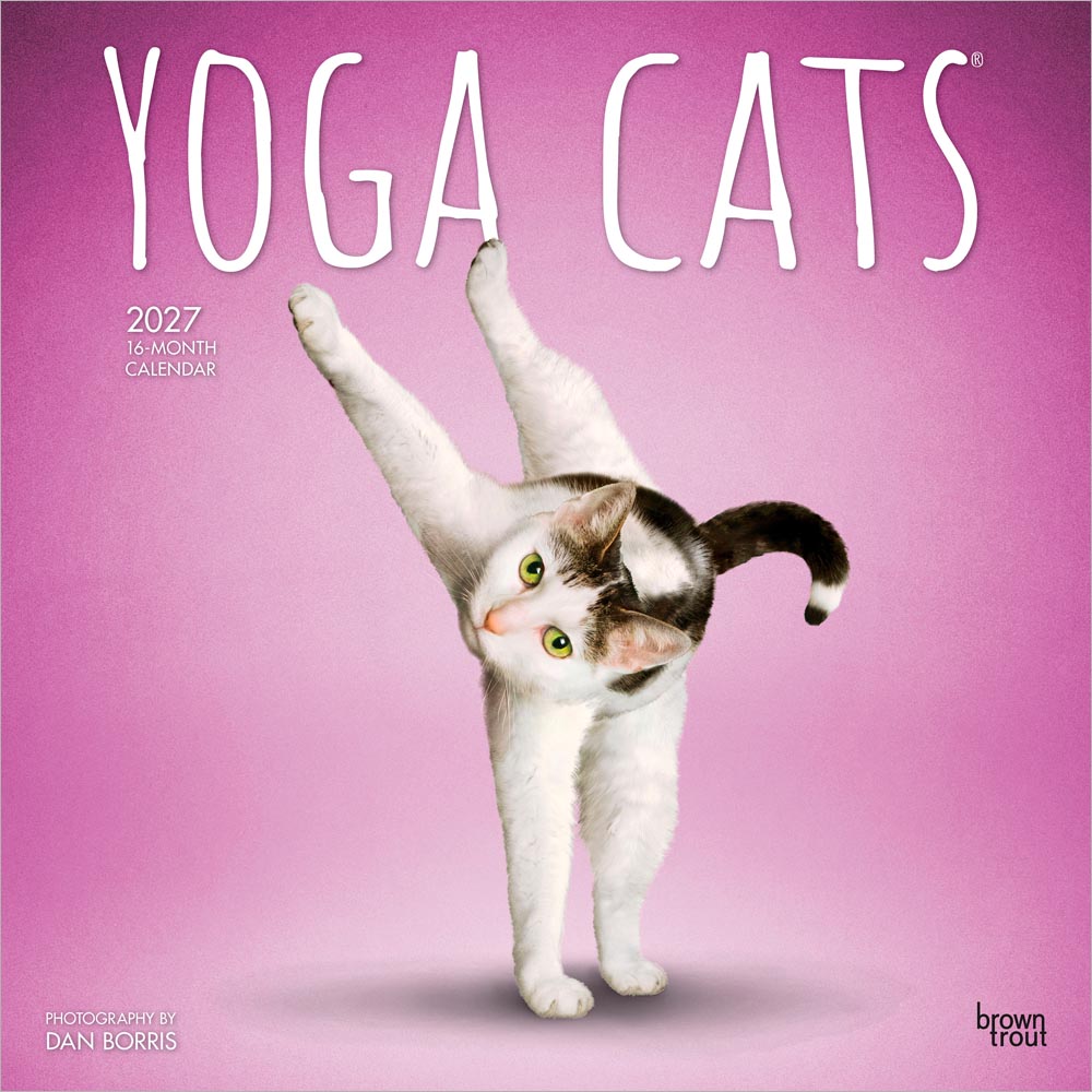 Yoga Cats OFFICIAL | 2027 12 x 24 Inch (Hanging) Monthly Square Wall Calendar