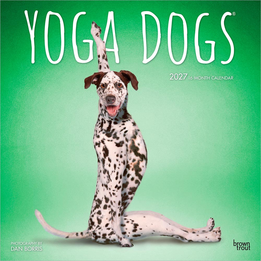 Yoga Dogs OFFICIAL | 2027 12 x 24 Inch (Hanging) Monthly Square Wall Calendar