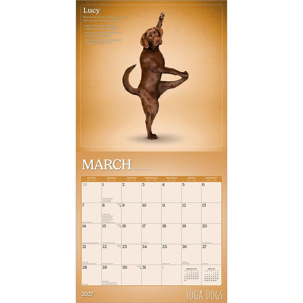 Yoga Dogs OFFICIAL | 2027 12 x 24 Inch (Hanging) Monthly Square Wall Calendar