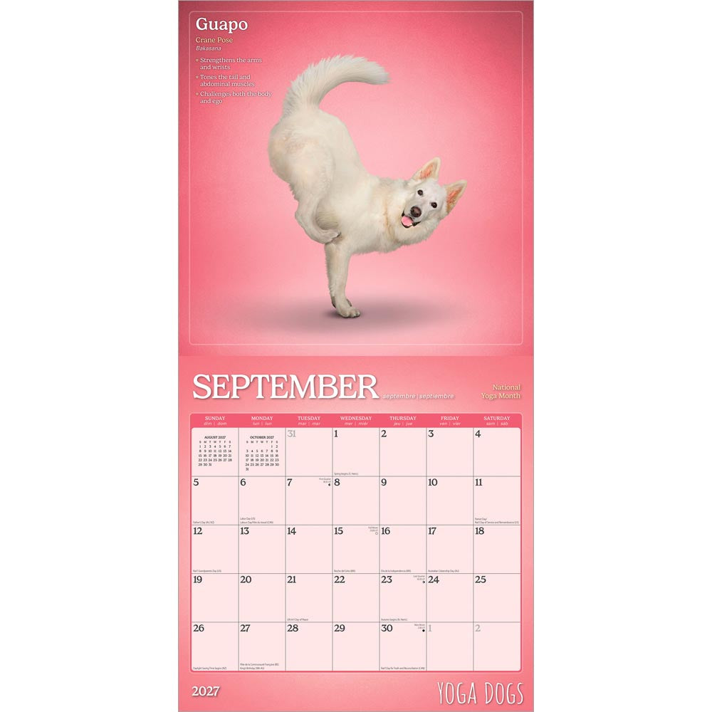 Yoga Dogs OFFICIAL | 2027 12 x 24 Inch (Hanging) Monthly Square Wall Calendar