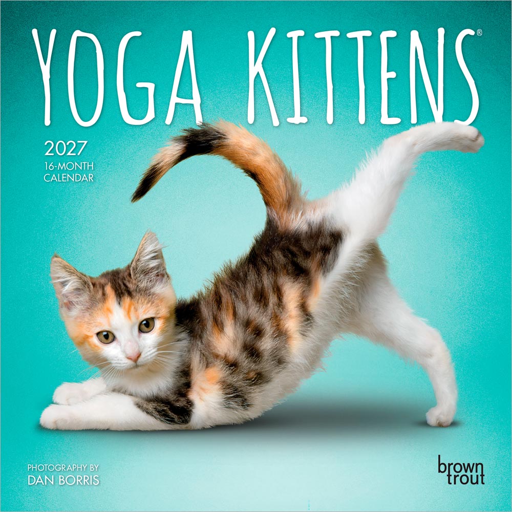 Yoga Kittens OFFICIAL | 2027 7 x 14 Inch (Hanging) Monthly Mini Wall Calendar