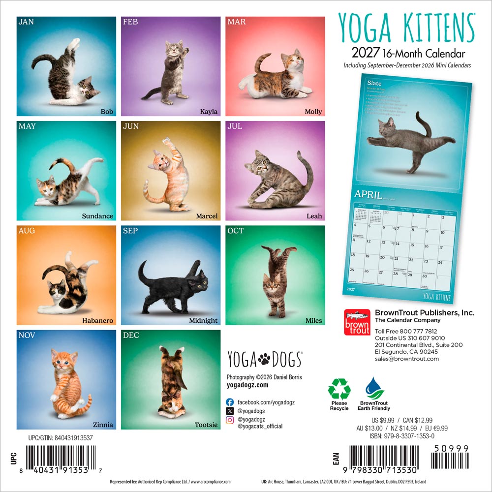 Yoga Kittens OFFICIAL | 2027 7 x 14 Inch (Hanging) Monthly Mini Wall Calendar