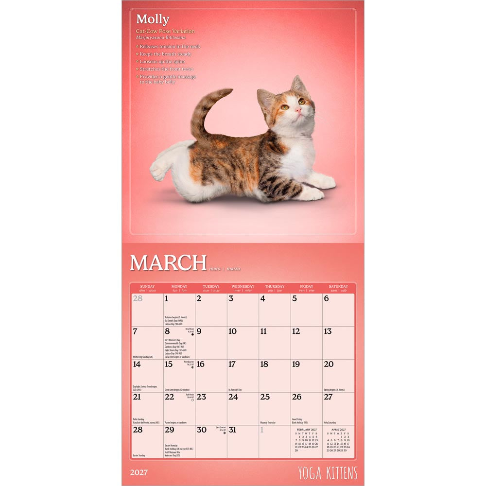 Yoga Kittens OFFICIAL | 2027 7 x 14 Inch (Hanging) Monthly Mini Wall Calendar