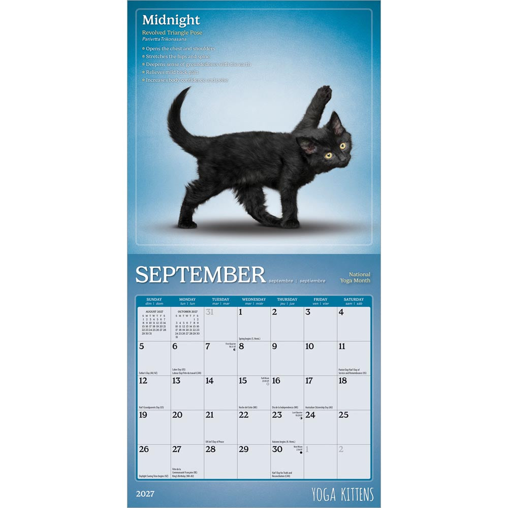 Yoga Kittens OFFICIAL | 2027 7 x 14 Inch (Hanging) Monthly Mini Wall Calendar