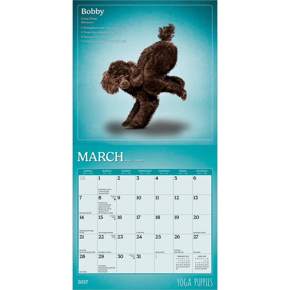 Yoga Puppies OFFICIAL | 2027 7 x 14 Inch (Hanging) Monthly Mini Wall Calendar