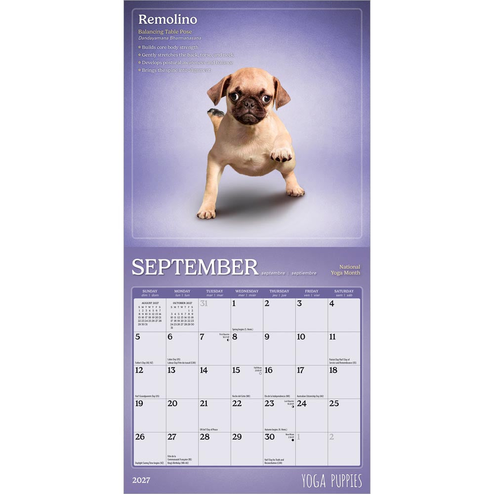 Yoga Puppies OFFICIAL | 2027 7 x 14 Inch (Hanging) Monthly Mini Wall Calendar