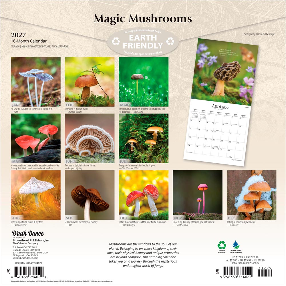 Magic Mushrooms | 2027 12 x 24 Inch (Hanging) Monthly Square Wall Calendar