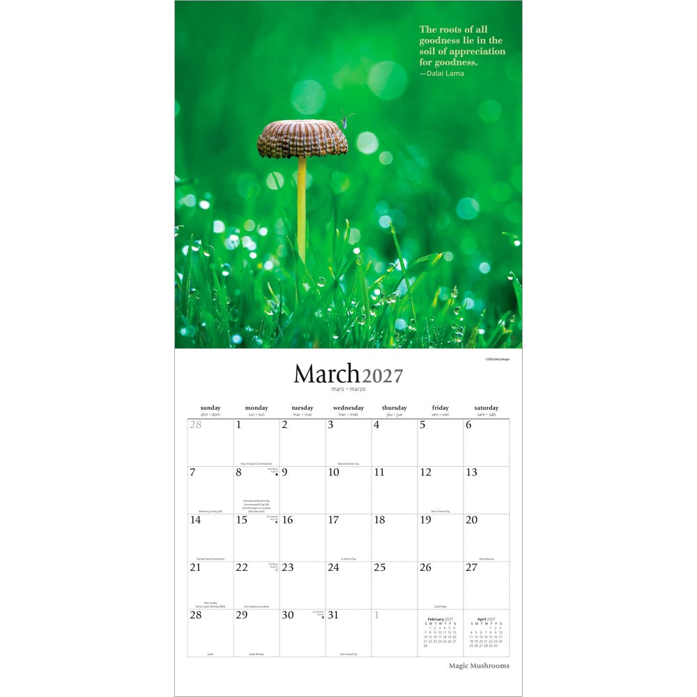 Magic Mushrooms | 2027 12 x 24 Inch (Hanging) Monthly Square Wall Calendar