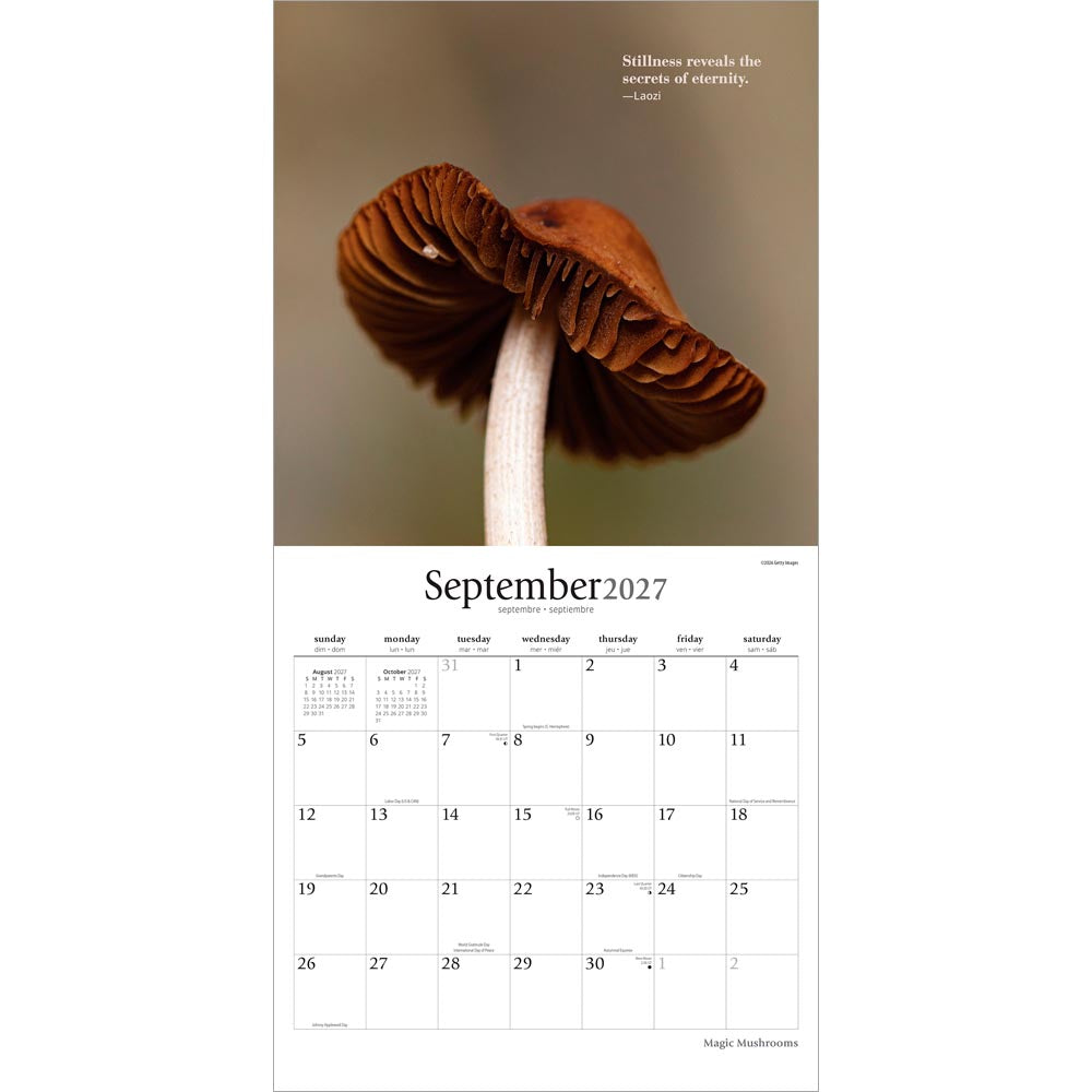 Magic Mushrooms | 2027 12 x 24 Inch (Hanging) Monthly Square Wall Calendar