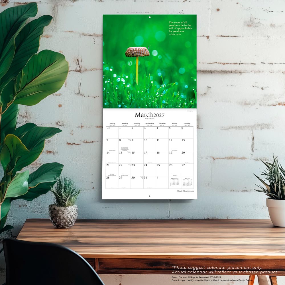 Magic Mushrooms | 2027 12 x 24 Inch (Hanging) Monthly Square Wall Calendar