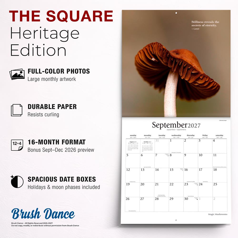 Magic Mushrooms | 2027 12 x 24 Inch (Hanging) Monthly Square Wall Calendar
