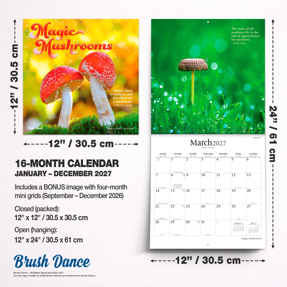 Magic Mushrooms | 2027 12 x 24 Inch (Hanging) Monthly Square Wall Calendar