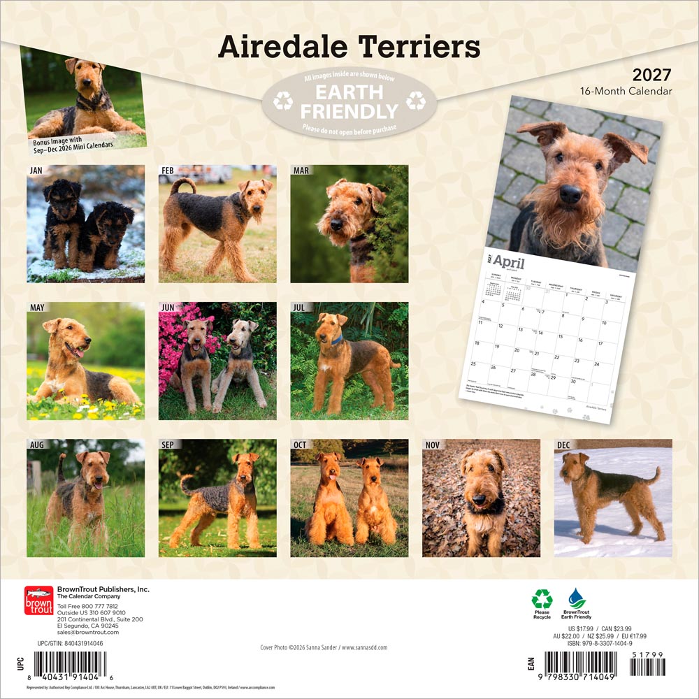 Airedale Terriers | 2027 12 x 24 Inch (Hanging) Monthly Square Wall Calendar