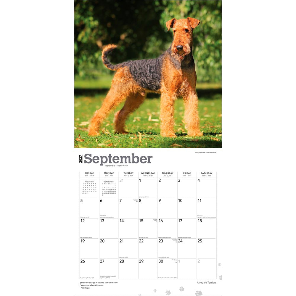 Airedale Terriers | 2027 12 x 24 Inch (Hanging) Monthly Square Wall Calendar