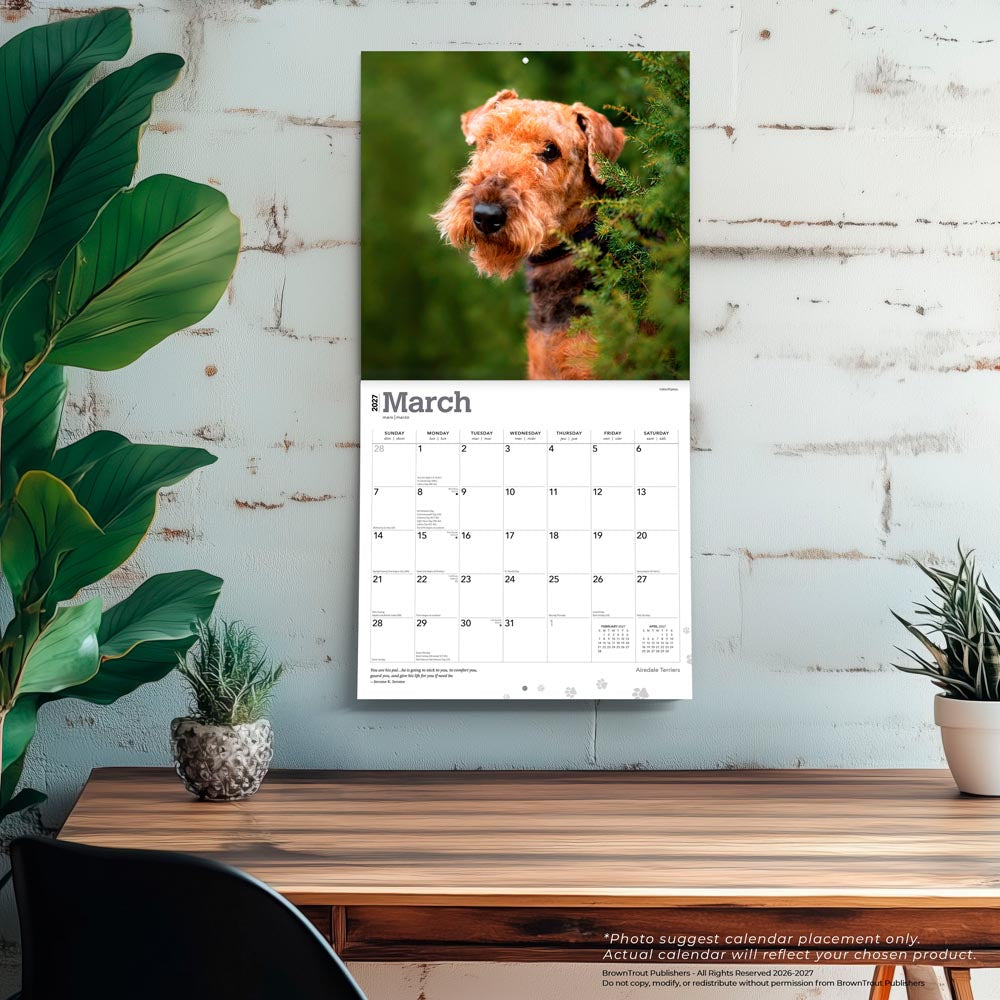 Airedale Terriers | 2027 12 x 24 Inch (Hanging) Monthly Square Wall Calendar