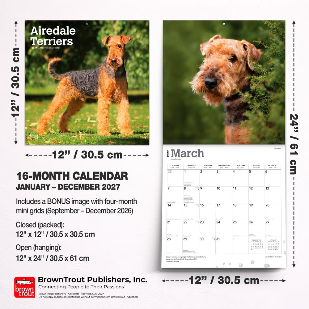 Airedale Terriers | 2027 12 x 24 Inch (Hanging) Monthly Square Wall Calendar