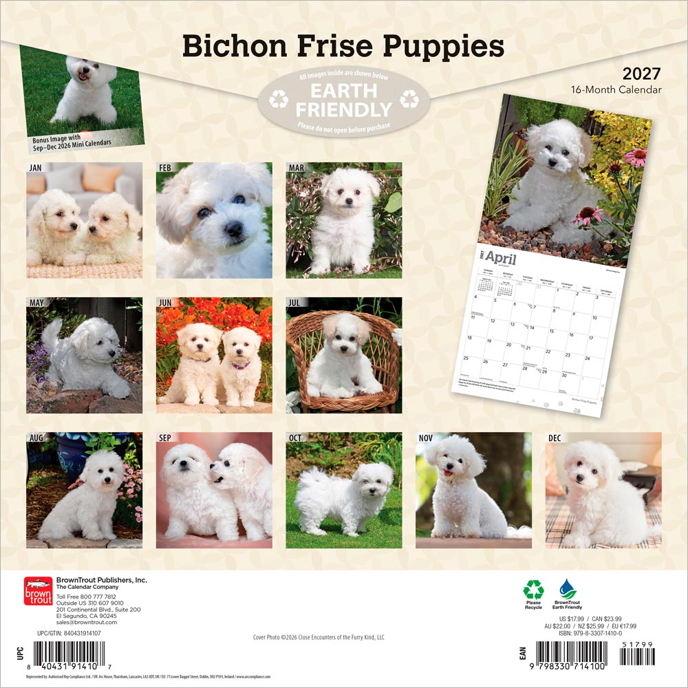 Bichon Frise Puppies | 2027 12 x 24 Inch (Hanging) Monthly Square Wall Calendar