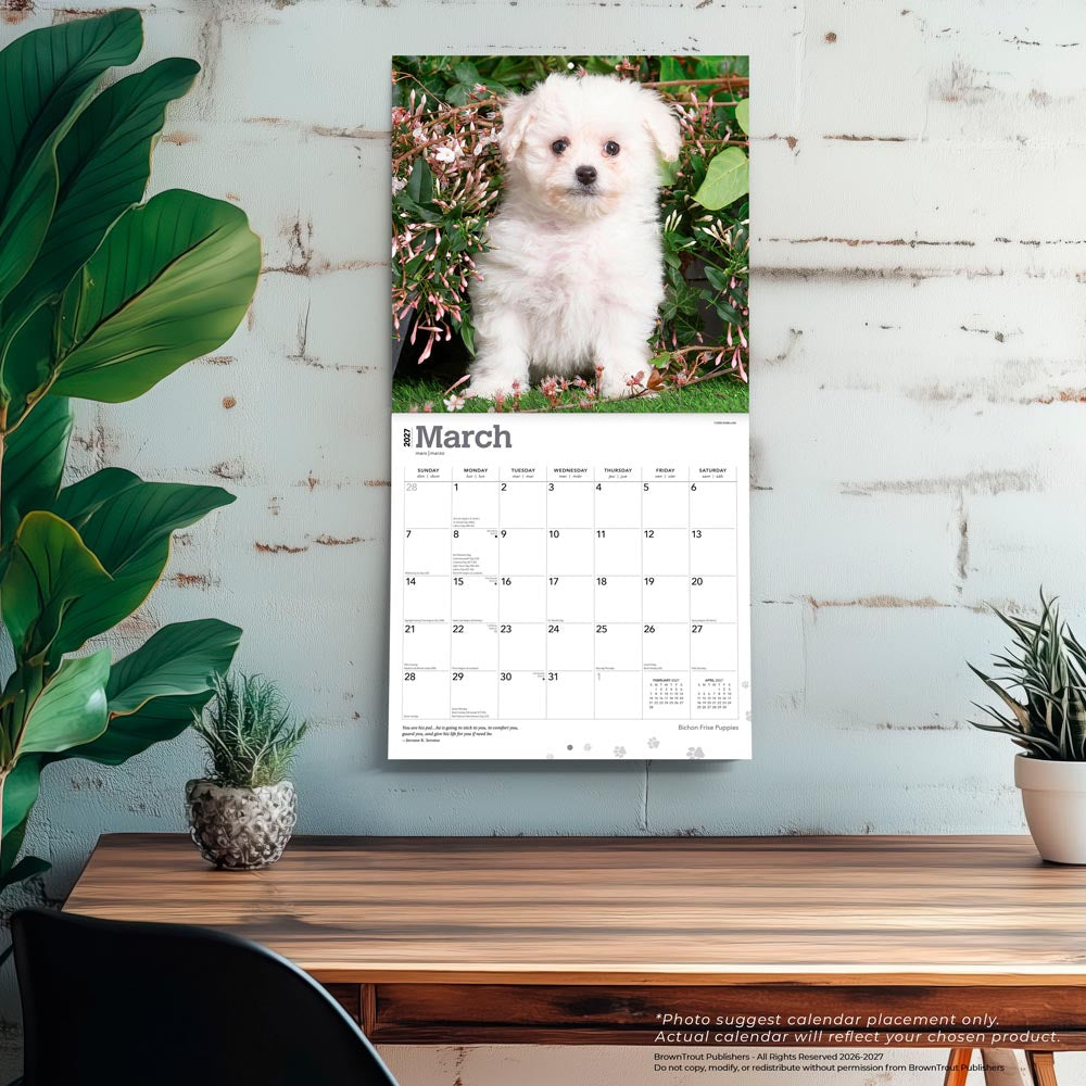 Bichon Frise Puppies | 2027 12 x 24 Inch (Hanging) Monthly Square Wall Calendar