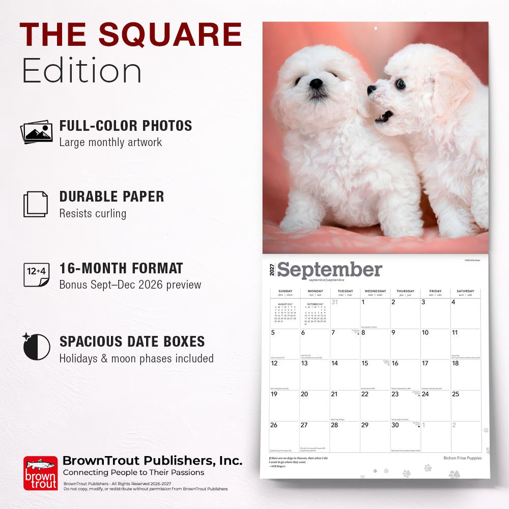 Bichon Frise Puppies | 2027 12 x 24 Inch (Hanging) Monthly Square Wall Calendar