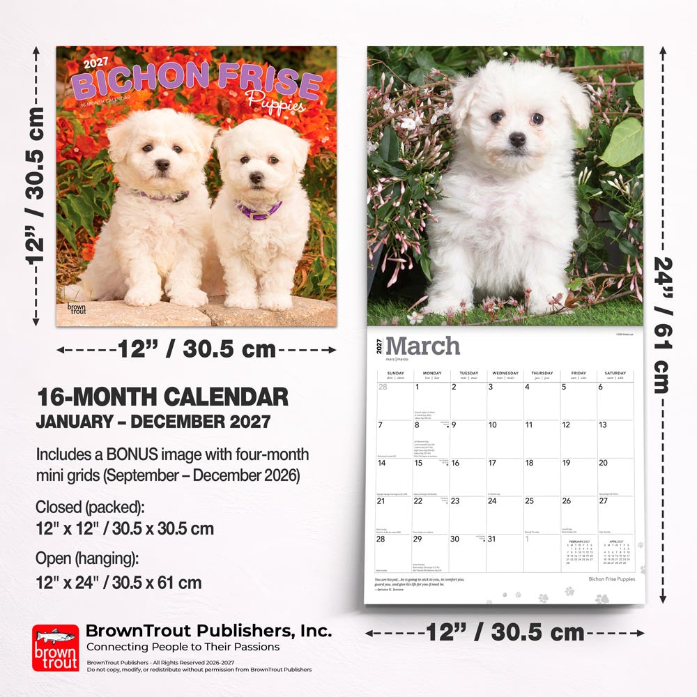 Bichon Frise Puppies | 2027 12 x 24 Inch (Hanging) Monthly Square Wall Calendar