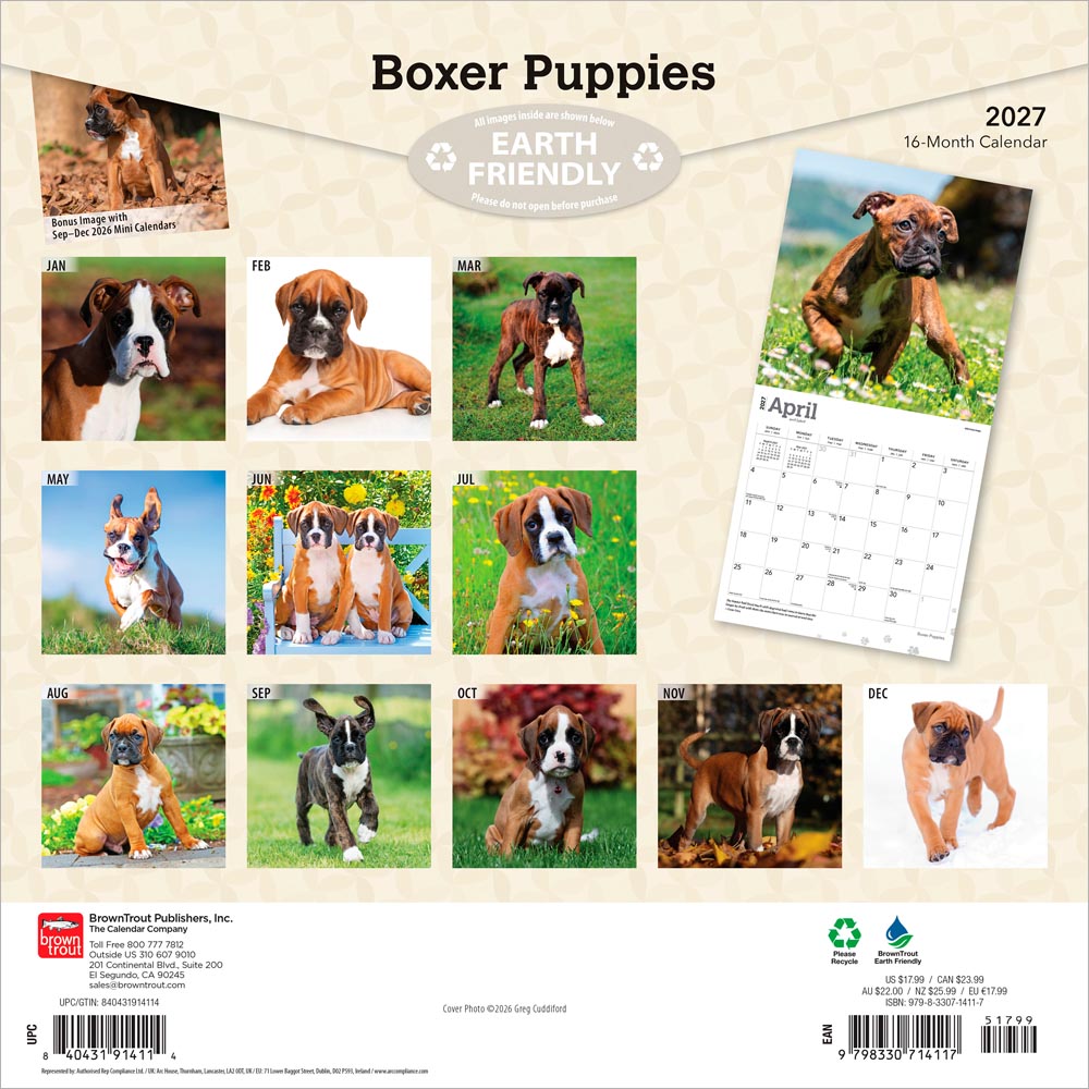 Boxer Puppies | 2027 12 x 24 Inch (Hanging) Monthly Square Wall Calendar