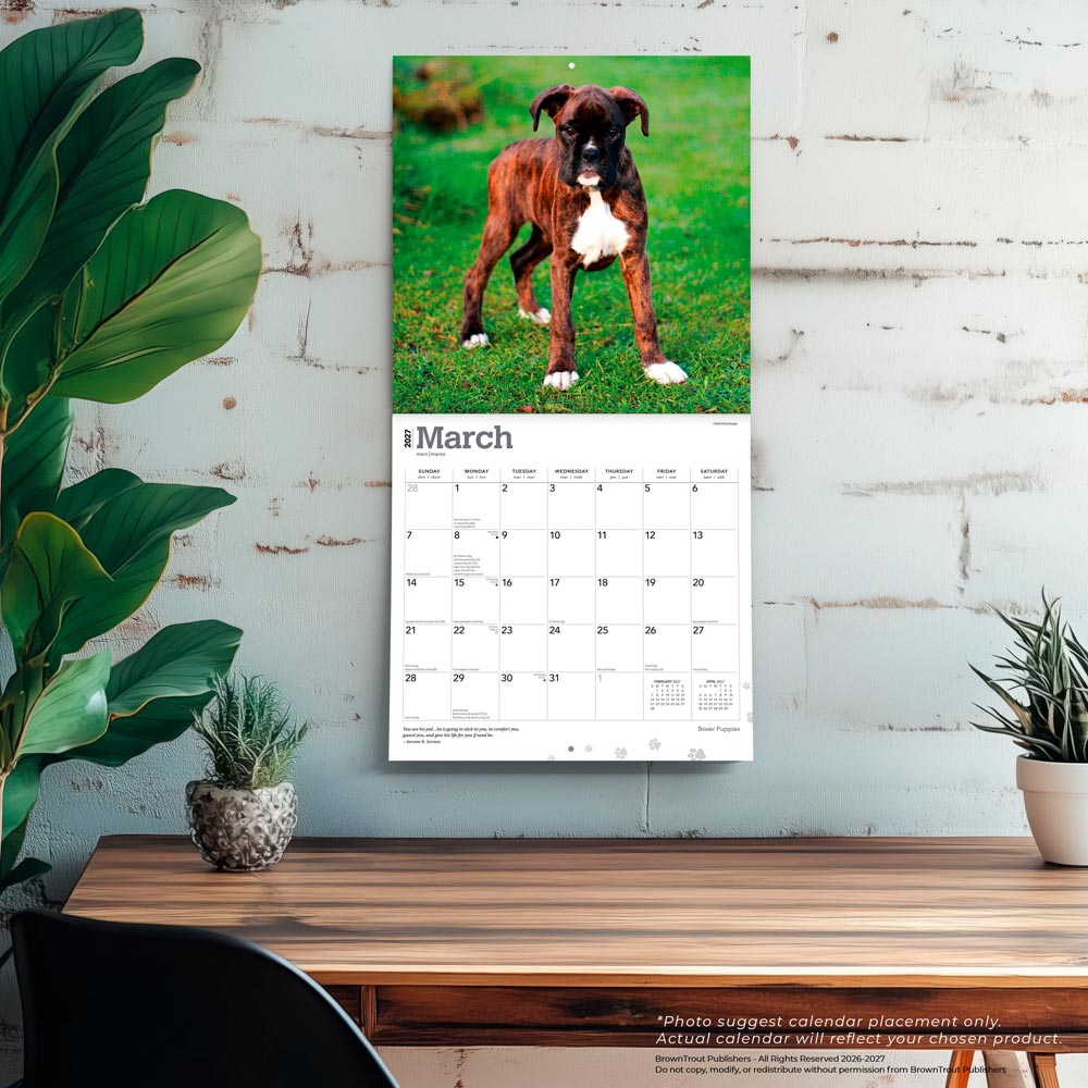 Boxer Puppies | 2027 12 x 24 Inch (Hanging) Monthly Square Wall Calendar