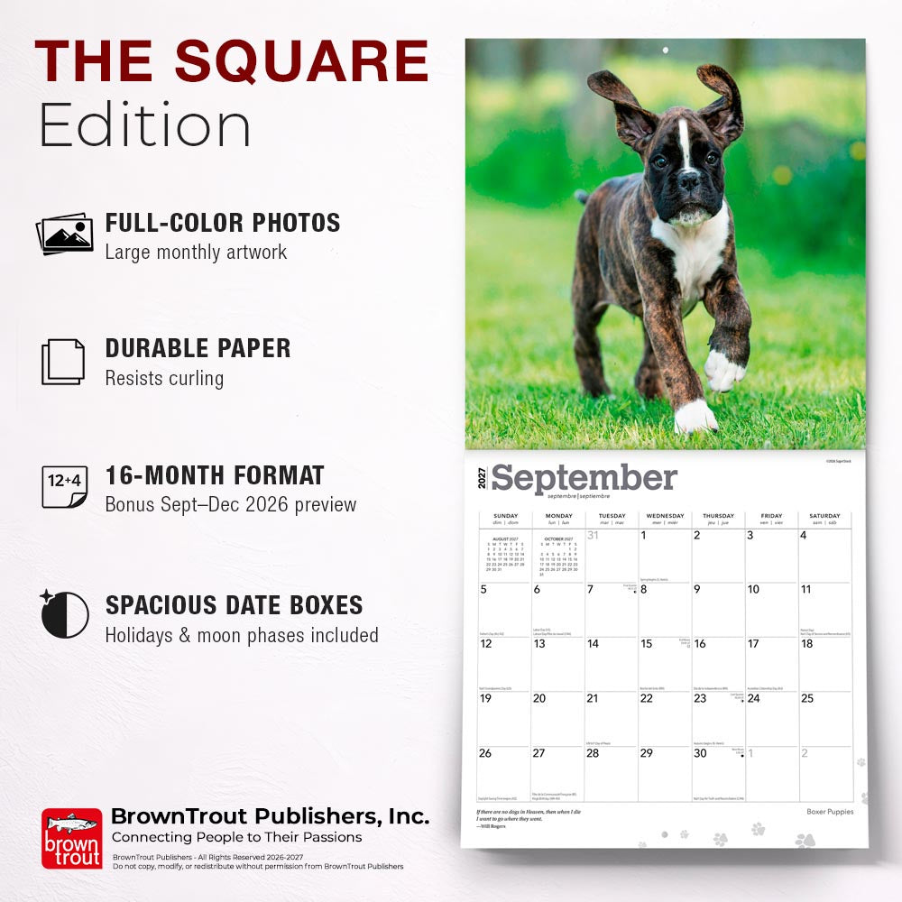 Boxer Puppies | 2027 12 x 24 Inch (Hanging) Monthly Square Wall Calendar