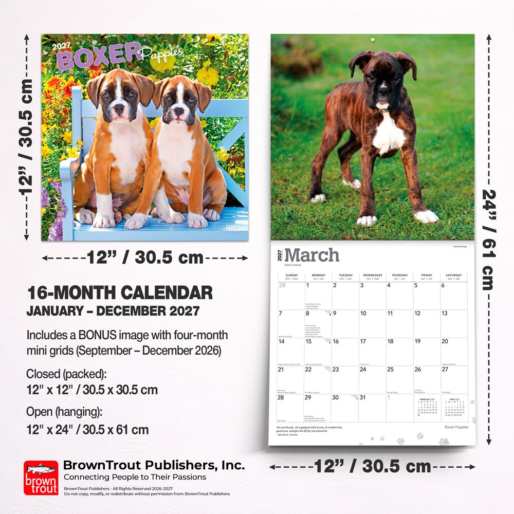 Boxer Puppies | 2027 12 x 24 Inch (Hanging) Monthly Square Wall Calendar