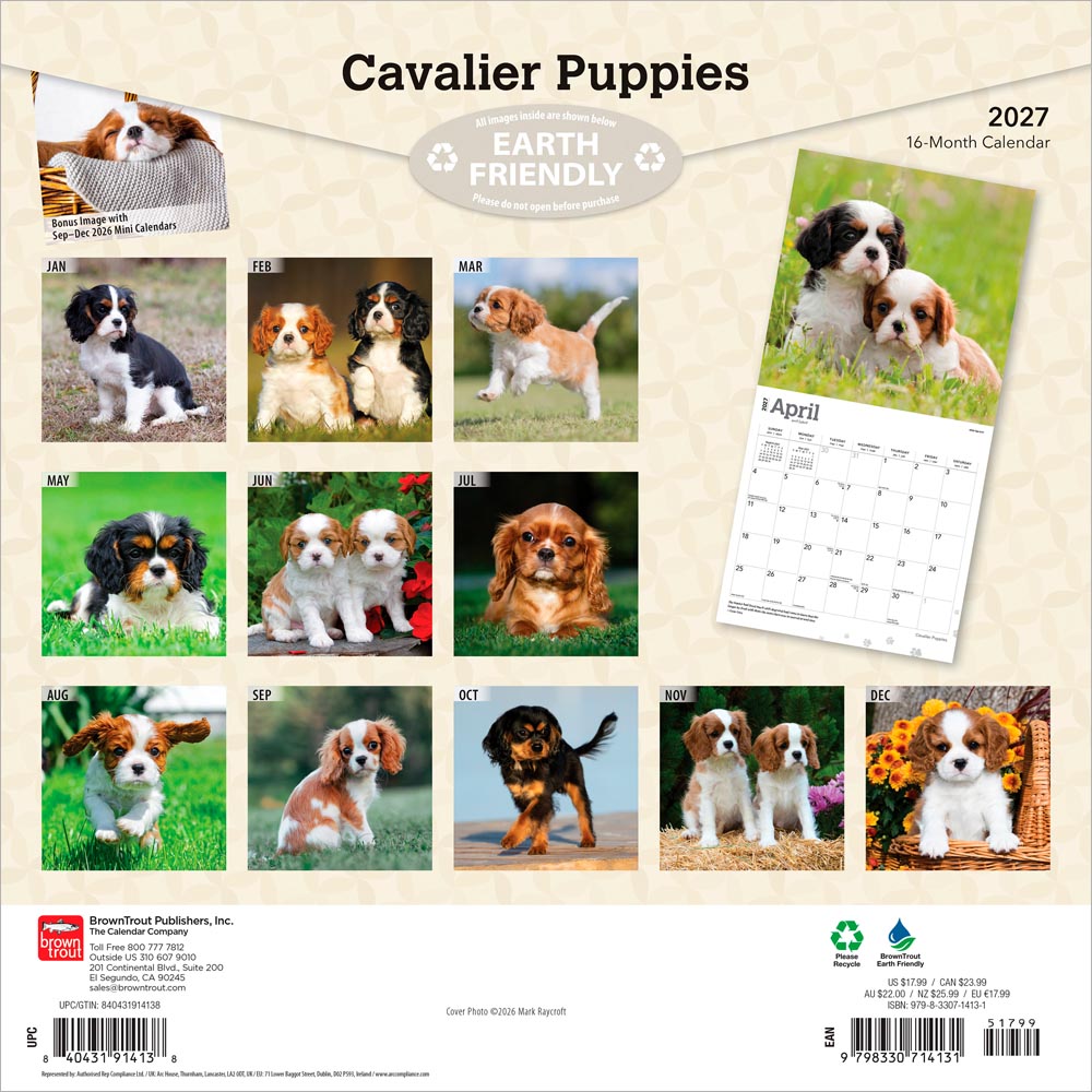 Cavalier King Charles Spaniel Puppies | 2027 12 x 24 Inch (Hanging) Monthly Square Wall Calendar