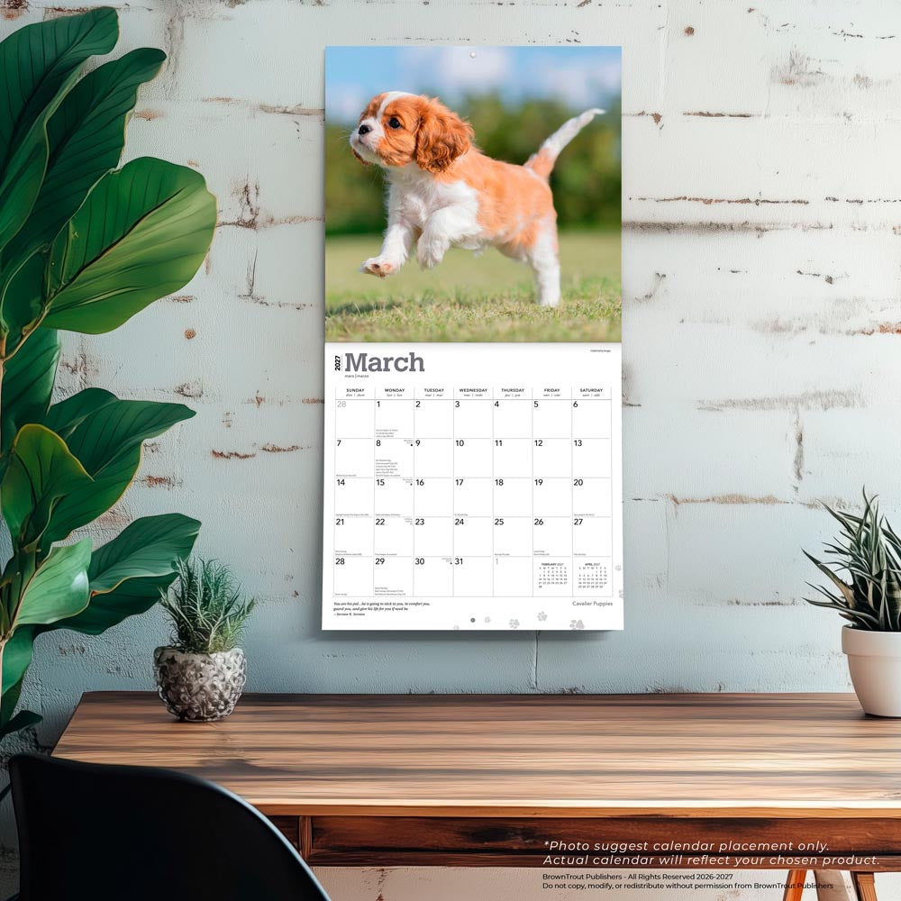 Cavalier King Charles Spaniel Puppies | 2027 12 x 24 Inch (Hanging) Monthly Square Wall Calendar
