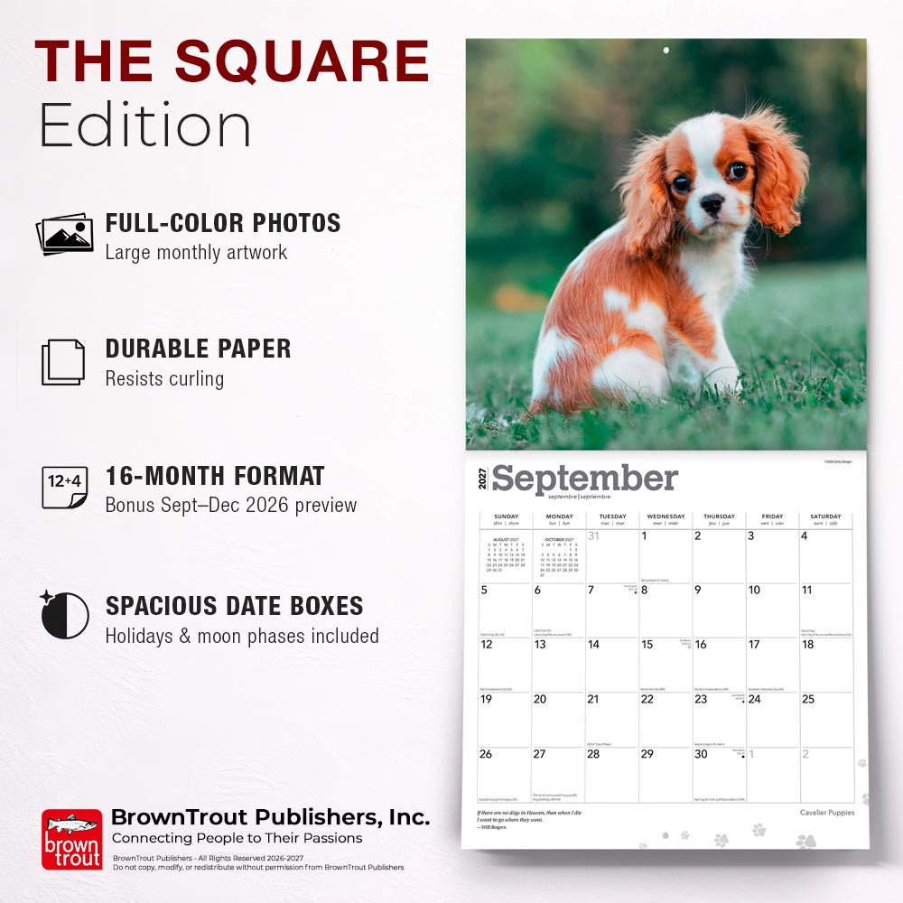 Cavalier King Charles Spaniel Puppies | 2027 12 x 24 Inch (Hanging) Monthly Square Wall Calendar