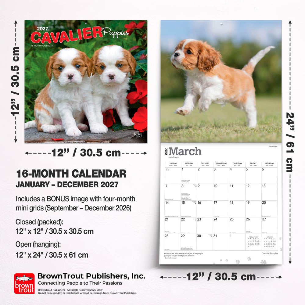 Cavalier King Charles Spaniel Puppies | 2027 12 x 24 Inch (Hanging) Monthly Square Wall Calendar