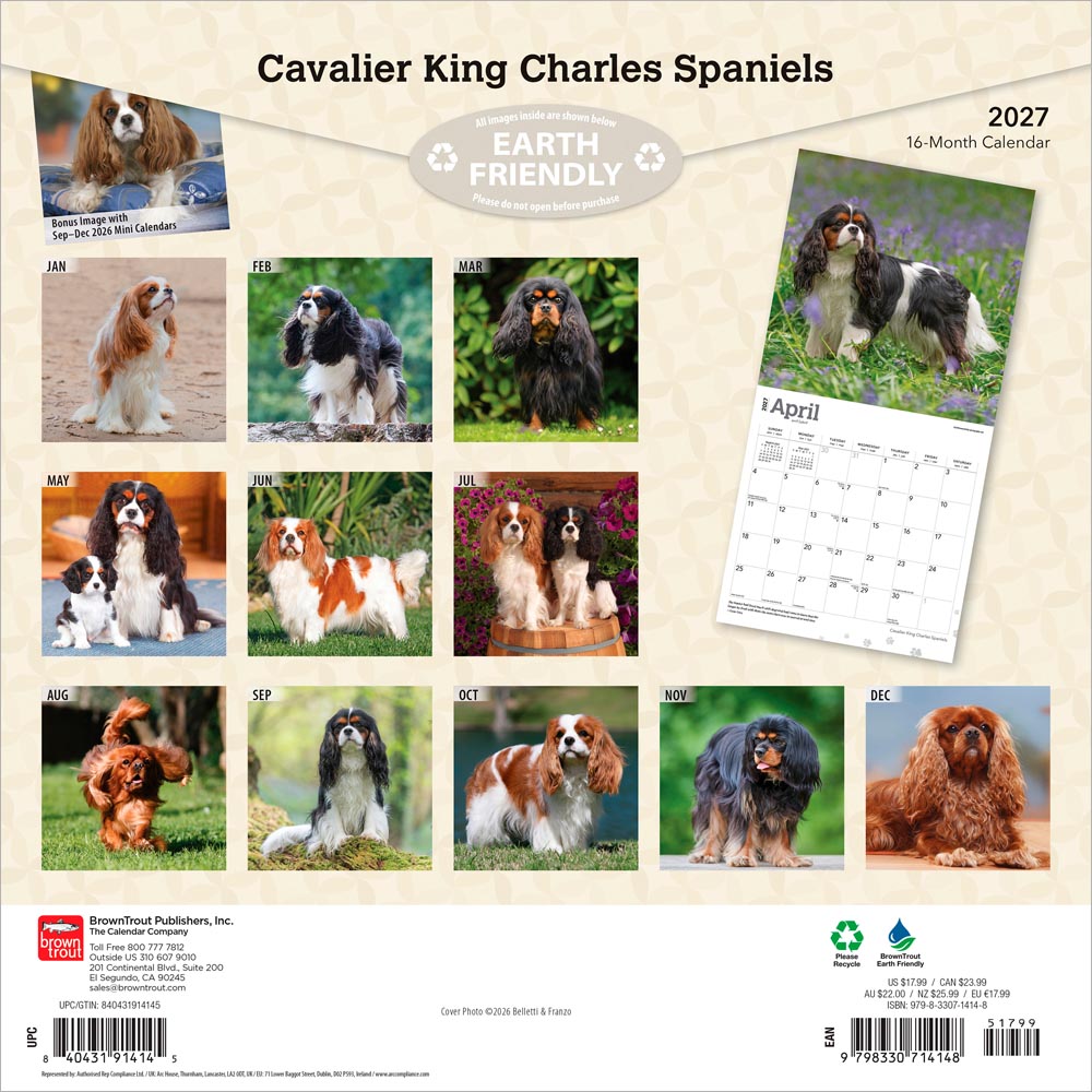 Cavalier King Charles Spaniels | 2027 12 x 24 Inch (Hanging) Monthly Square Wall Calendar