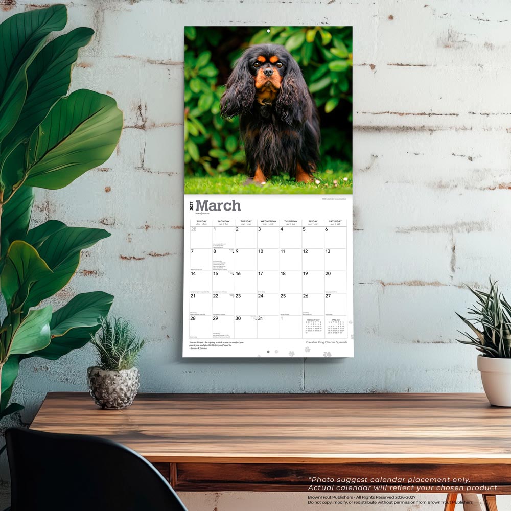 Cavalier King Charles Spaniels | 2027 12 x 24 Inch (Hanging) Monthly Square Wall Calendar