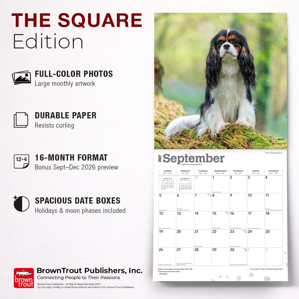 Cavalier King Charles Spaniels | 2027 12 x 24 Inch (Hanging) Monthly Square Wall Calendar