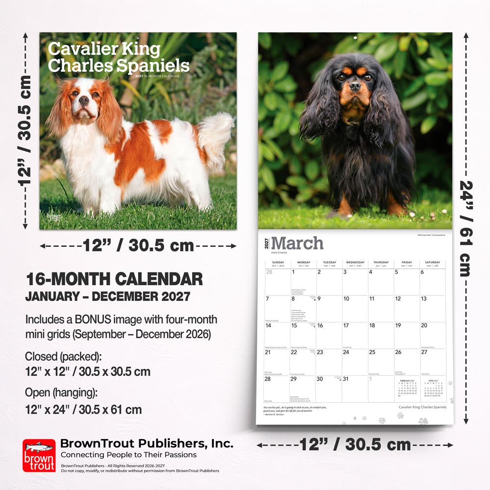 Cavalier King Charles Spaniels | 2027 12 x 24 Inch (Hanging) Monthly Square Wall Calendar