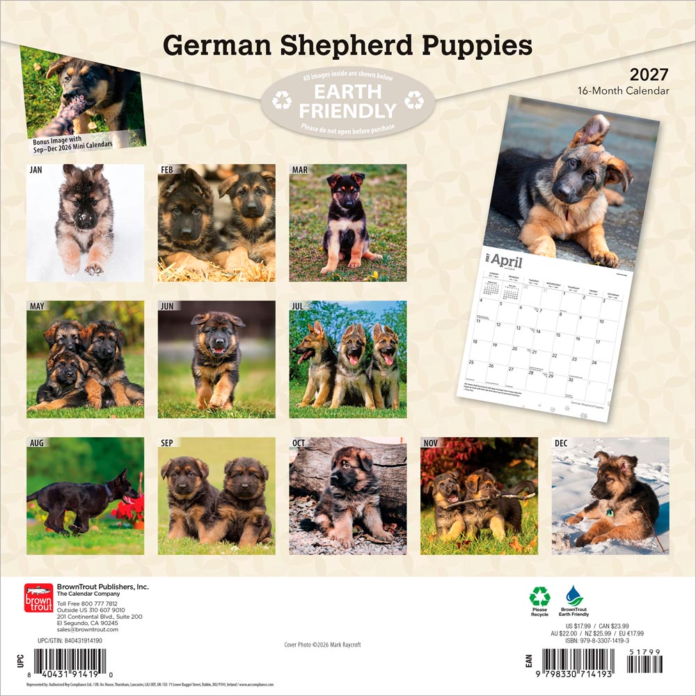 German Shepherd Puppies | 2027 12 x 24 Inch (Hanging) Monthly Square Wall Calendar