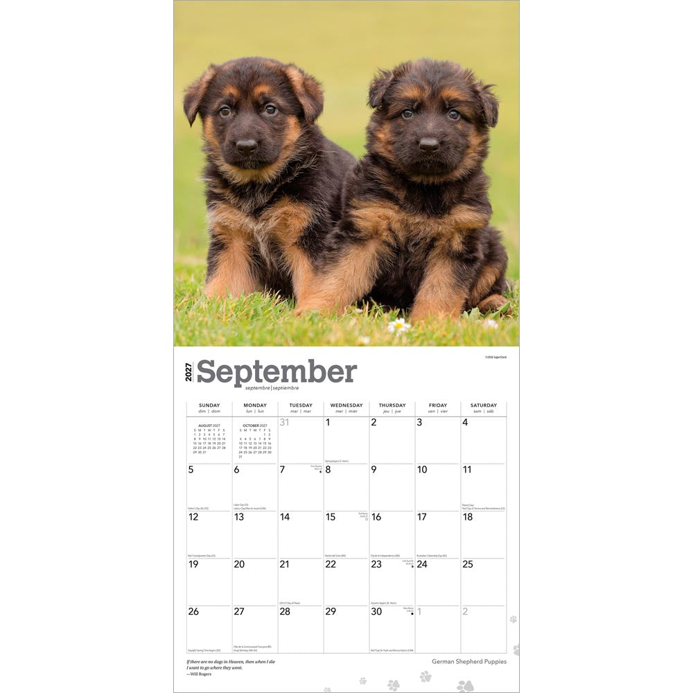 German Shepherd Puppies | 2027 12 x 24 Inch (Hanging) Monthly Square Wall Calendar