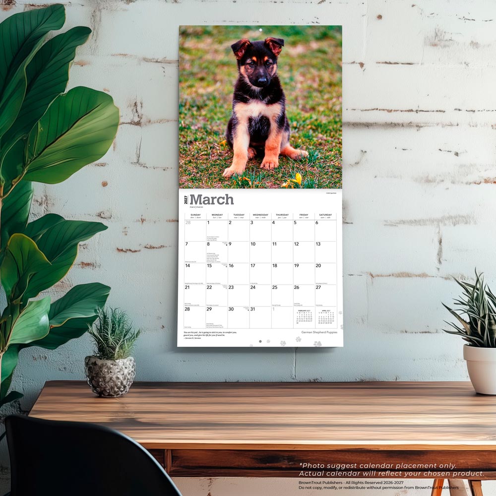 German Shepherd Puppies | 2027 12 x 24 Inch (Hanging) Monthly Square Wall Calendar