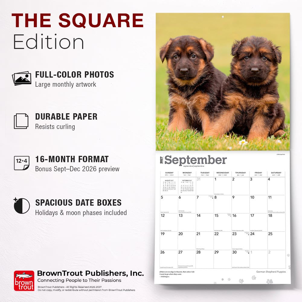 German Shepherd Puppies | 2027 12 x 24 Inch (Hanging) Monthly Square Wall Calendar
