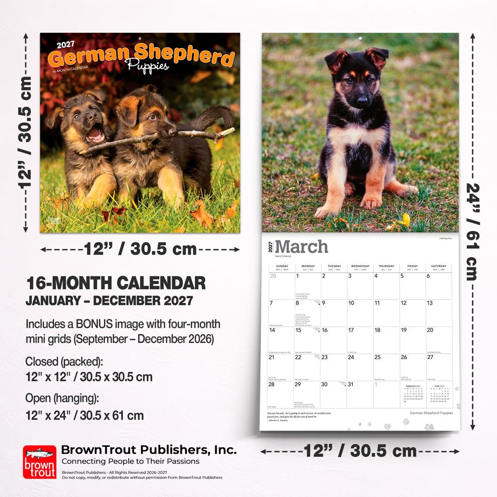 German Shepherd Puppies | 2027 12 x 24 Inch (Hanging) Monthly Square Wall Calendar