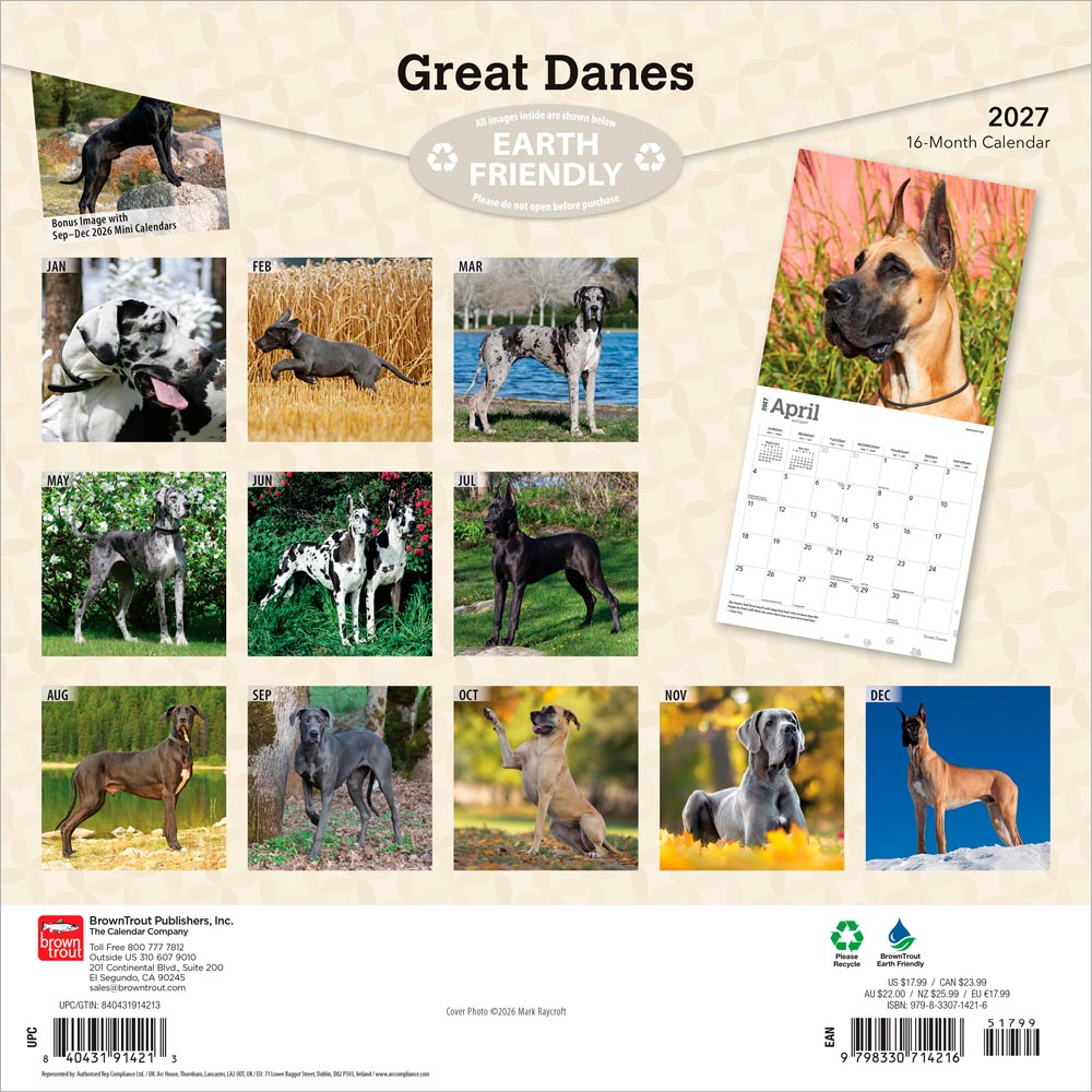 Great Danes | 2027 12 x 24 Inch (Hanging) Monthly Square Wall Calendar